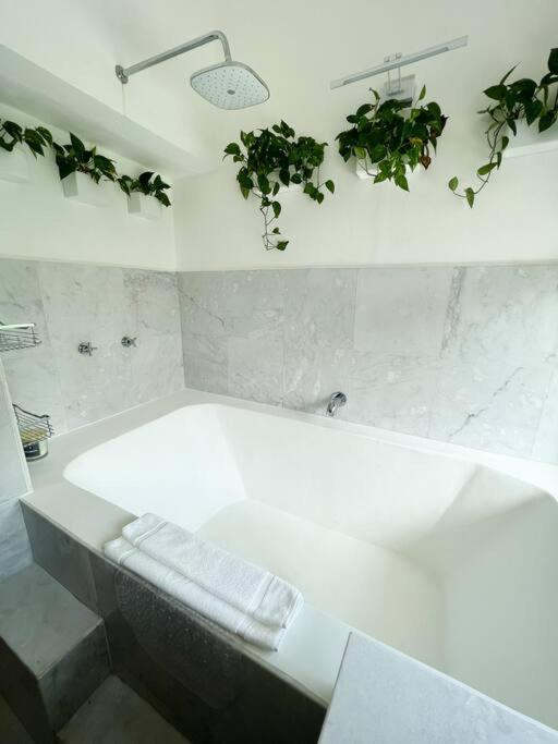 Beautiful Jungle House On A Strategic Location Villa Cancun Luaran gambar